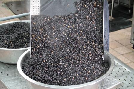 釀造食品班釀造黑豆醬油過程照片2