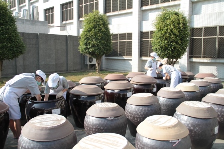 釀造食品班釀造黑豆醬油過程照片4