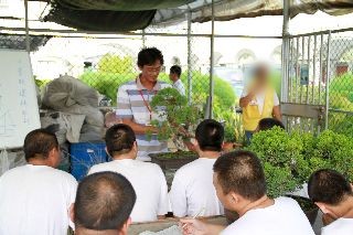 園藝班照片老師教學過程